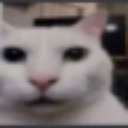 :cathuhstare: