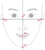Facial-index-N-Gn-Zy-Zy-Upper-facial-index-N-Sto-Zy-Zy-See-Table-1-for-the.jpg