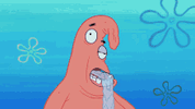 IMG_4344.gif