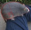 IMG_1226.jpeg