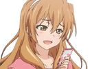 erm.png