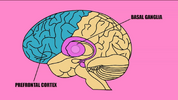1747441782889.png 1747441782889.png