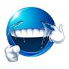 1747596223733.png