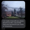 1747768484827.png