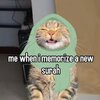 586be4211d3f16aa77eee6037d61ea6a.jpg