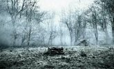 the_ring_dreamscene_by_wallybescotty.jpg