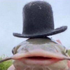 1748156819964.png