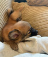 IMG_5009.jpeg