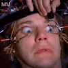 IMG_1431.gif