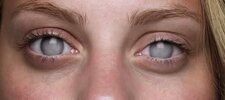 IMG_1433.jpeg