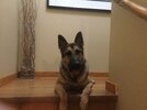 IMG_0071.jpeg