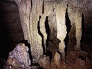 IMG_1636.jpeg