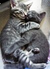 IMG_1533.jpeg