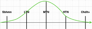 1748672471096.png