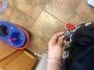 IMG_1039.jpeg