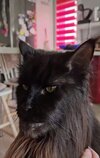IMG_1542.jpeg
