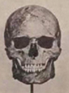 1748859356592.png