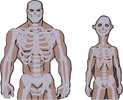1748884601550.png