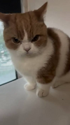 1749055302075.png