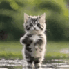1000021255.gif