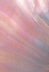 IMG_5829.jpeg