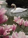 IMG_5833.jpeg