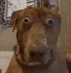 1749232899328.png