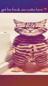 1000021558.gif