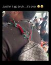 IMG_0381.jpeg