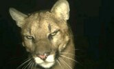 IMG_0349.jpeg