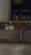 IMG_1976.jpeg