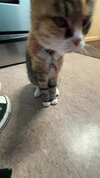 IMG_1517.jpeg