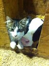 IMG_1805.jpeg