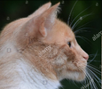 1750253367405.png