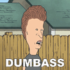 IMG_1449.gif