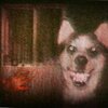 artworks-OOF7aw0s7M8eFMz4-8zehTg-t500x500.jpg