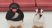 1750268981497804.gif