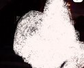 IMG_5882.jpeg