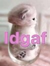 IMG_0872.jpeg