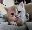 IMG_8287.jpeg