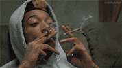 image (7).gif
