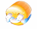 static-assets-upload17729150393572700755.gif