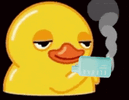 rubber-ducky-smoke.gif
