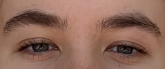 IMG_4201.jpeg