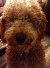 IMG_1850.jpeg