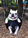 DFC0BA77-2AF7-486B-B548-359356059718.gif
