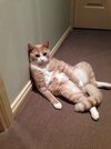IMG_1861.jpeg
