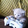 IMG_1865.jpeg