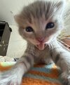 IMG_1868.jpeg