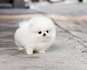 IMG_6665.jpeg